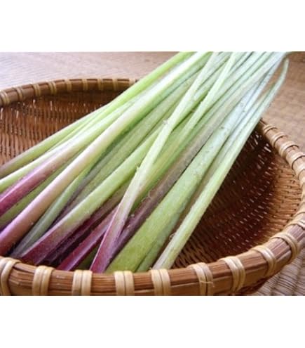 Amazon.co.jp: 【 山菜】 高知県産 天然 蕗 ふき （ 水ふき ）｜ フキ